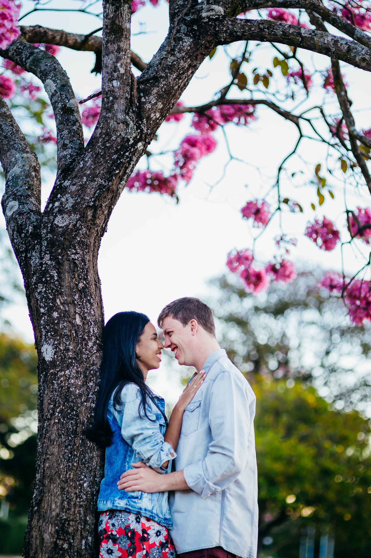 book-fotografico-ensaio-casal-brasilia-ipe