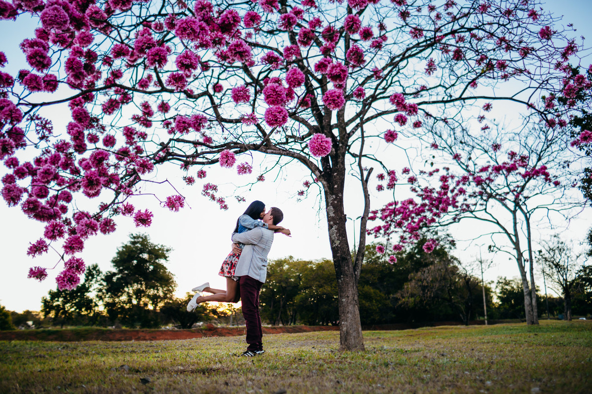 book-fotografico-ensaio-casal-brasilia-ipe