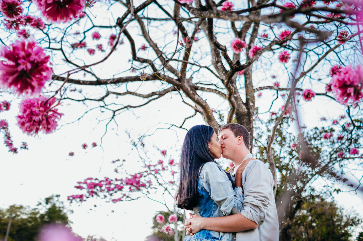 book-fotografico-ensaio-casal-brasilia-ipe