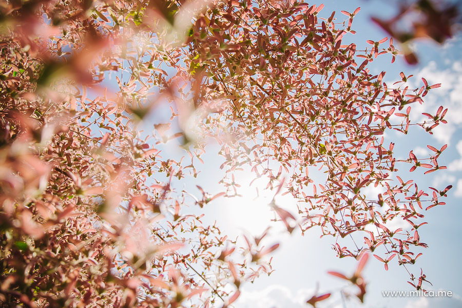 ensaio-book-de-familia-em-brasilia