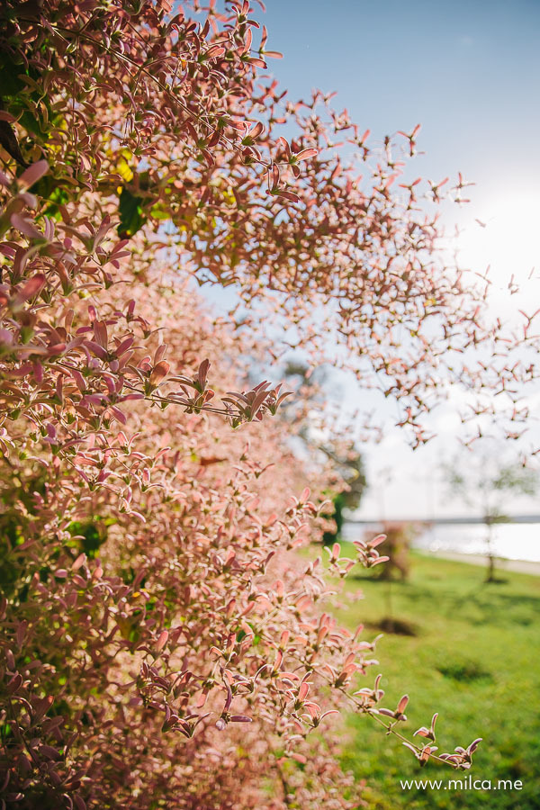 ensaio-book-de-familia-em-brasilia