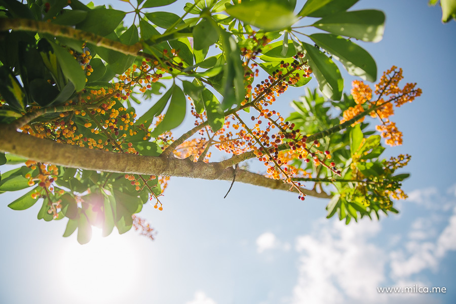 ensaio-book-de-familia-em-brasilia
