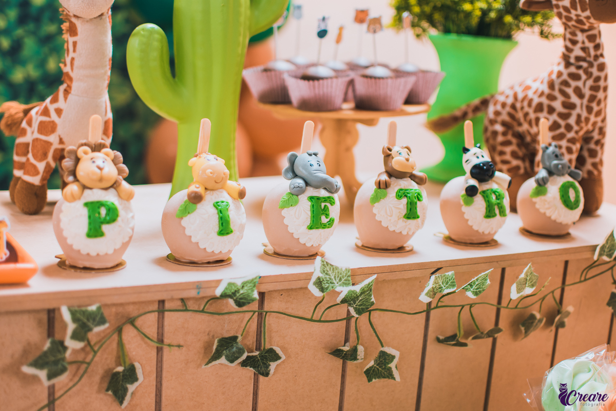 Fotografia de festa infantil, aniversário de 1 ano do bebê, realizado no Rancho do Caipira, cidade de Mauá, ABC Paulista.