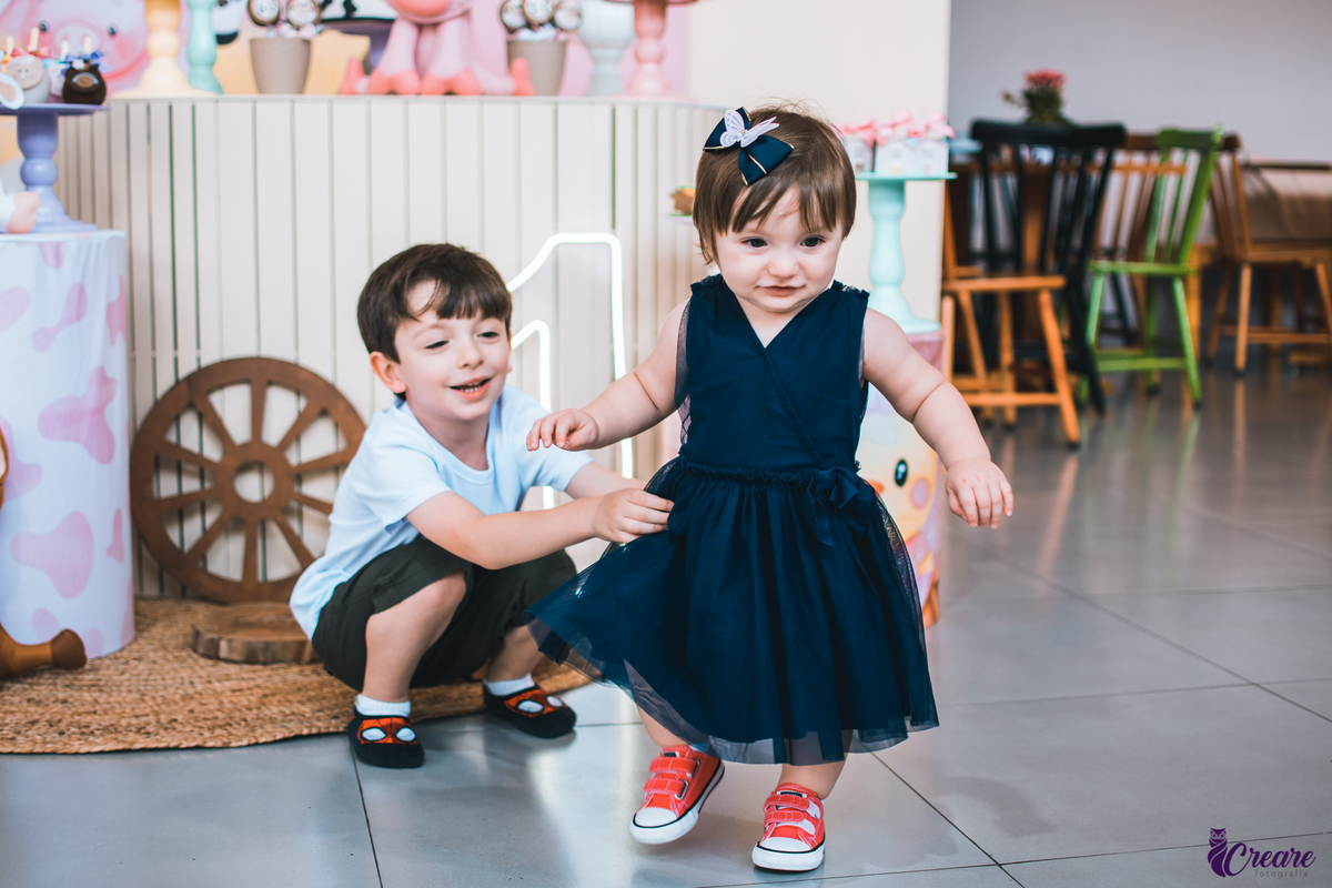 Fotografia de aniversário infantil, decoração fazendinha, buffet Fazendo Farra localizado em São Bernardo do Campo, abc Paulista.