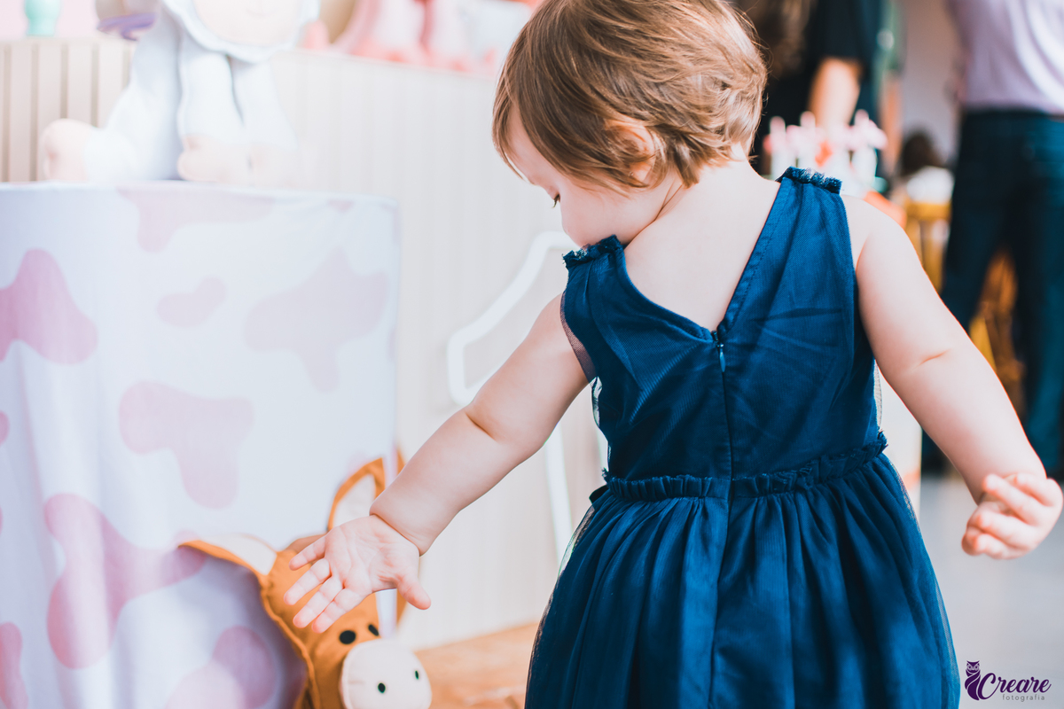 Fotografia de aniversário infantil, decoração fazendinha, buffet Fazendo Farra localizado em São Bernardo do Campo, abc Paulista.