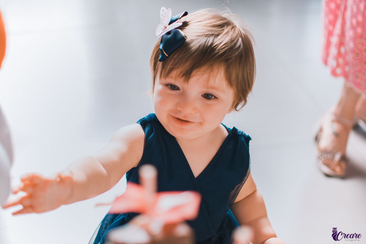 Fotografia de aniversário infantil, decoração fazendinha, buffet Fazendo Farra localizado em São Bernardo do Campo, abc Paulista.
