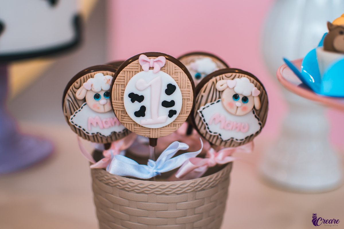 Fotografia de aniversário infantil, decoração fazendinha, buffet Fazendo Farra localizado em São Bernardo do Campo, abc Paulista.