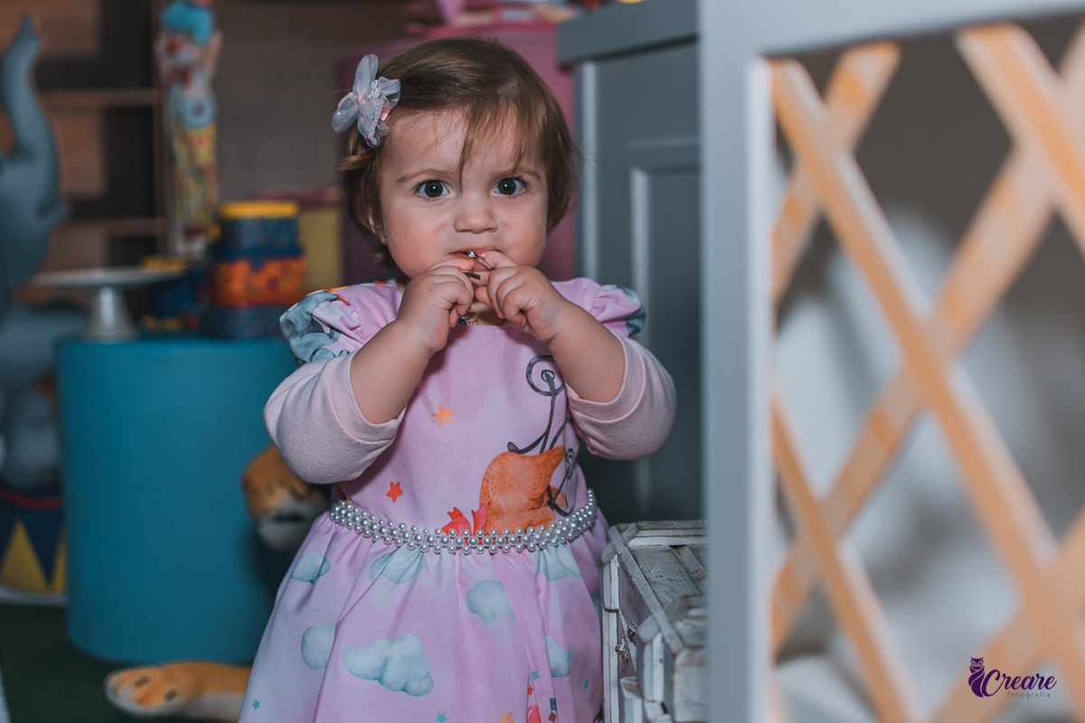 Fotografia de aniversário infantil, realizado no buffet Planeta Rizzo, localizado em Santo André, ABC Paulista. Tema da decoração Circo. 