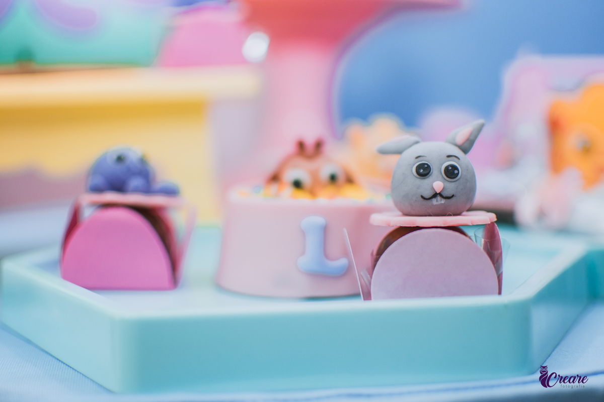 Aniversário infantil com tema bolofofos, realizado no Buffet É Pique em Mauá. Fotógrafo. Festa de menina.
