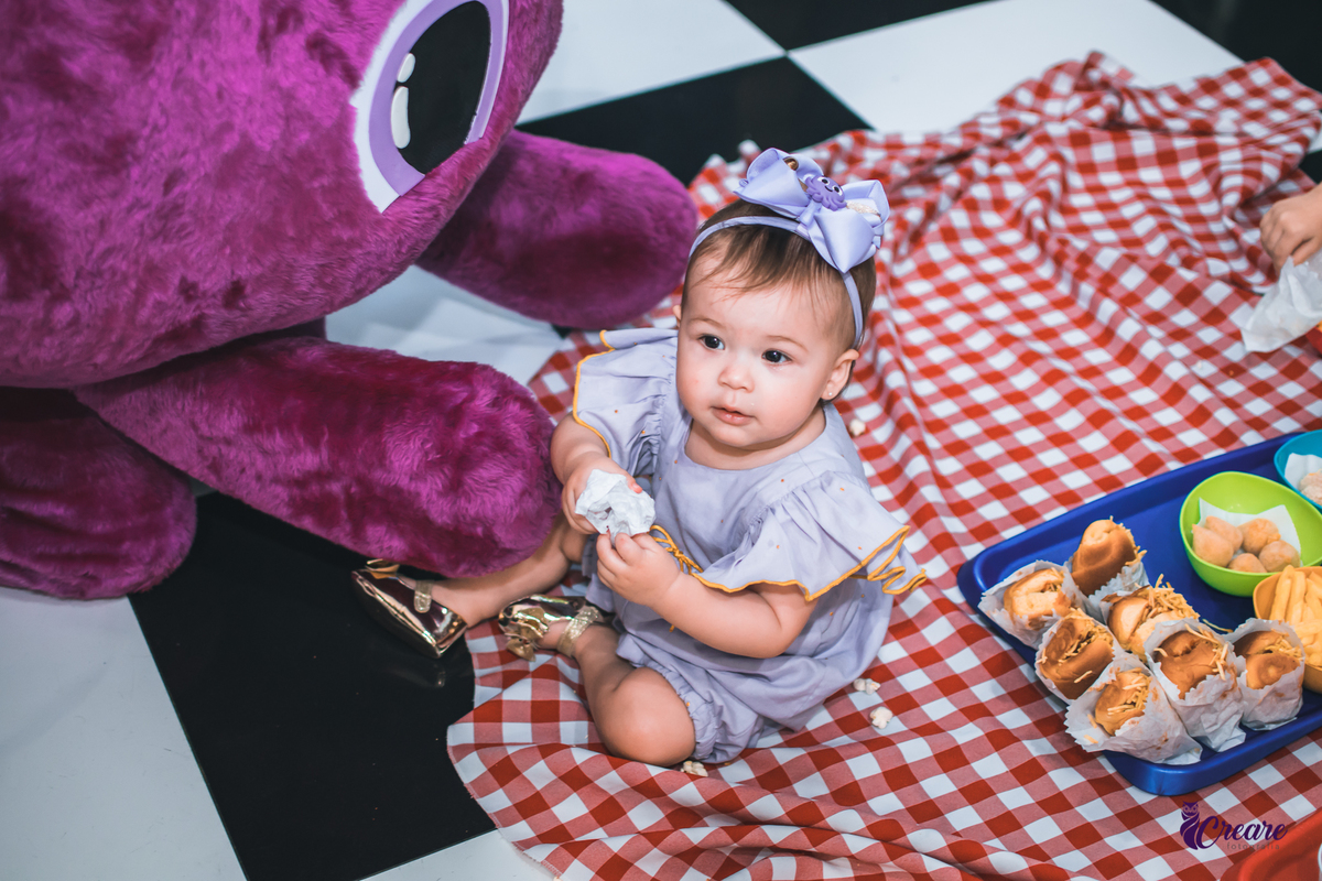 Aniversário infantil com tema bolofofos, realizado no Buffet É Pique em Mauá. Fotógrafo. Festa de menina.
