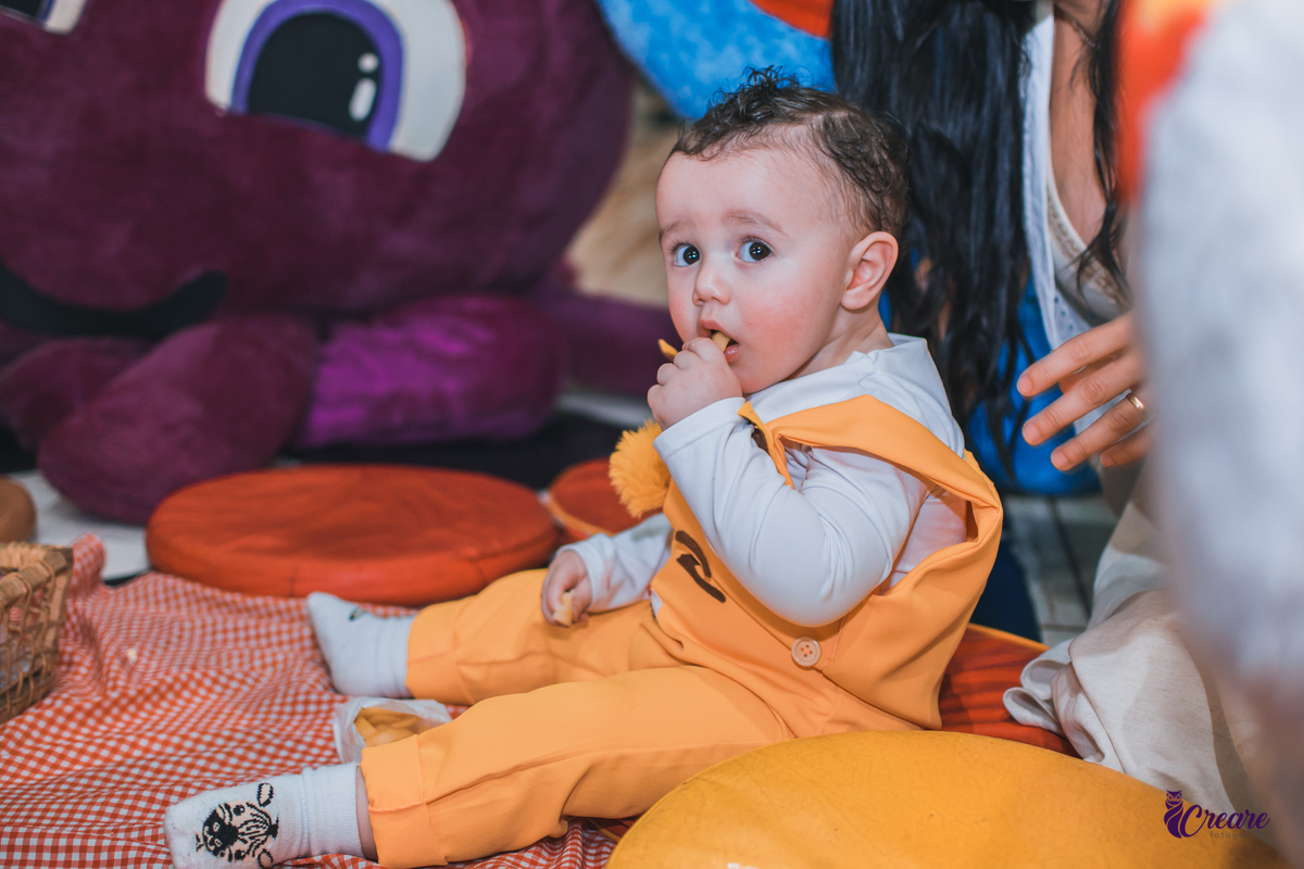 fotografia de festa infanti, aniversário de 1 ano no buffet Giraffas park em Mauá. Fotógrafo Mauá. Buffet infantil. Decoração tema Bolofofos. Festa de um aninho.