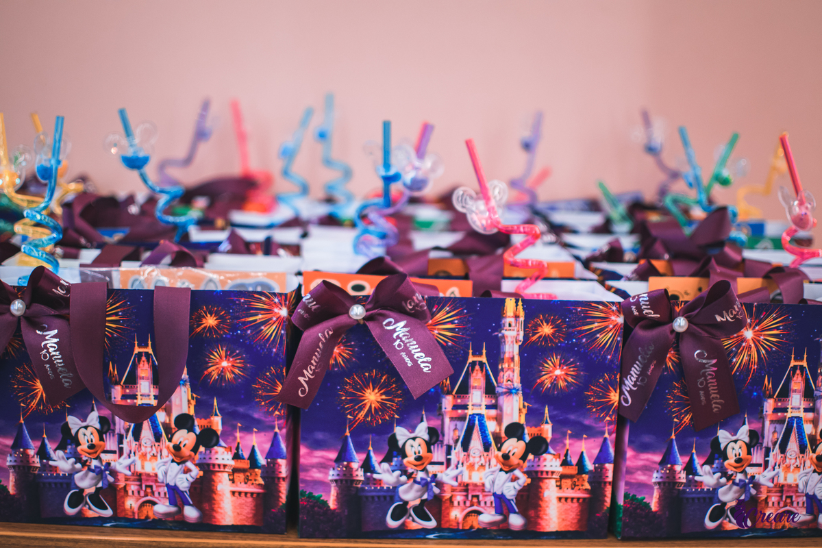 fotografia de aniversário infantil no Playcenter Famuly em Santo André, ABC Paulista. Fotógrafo de festa infantil. decoração Disney.