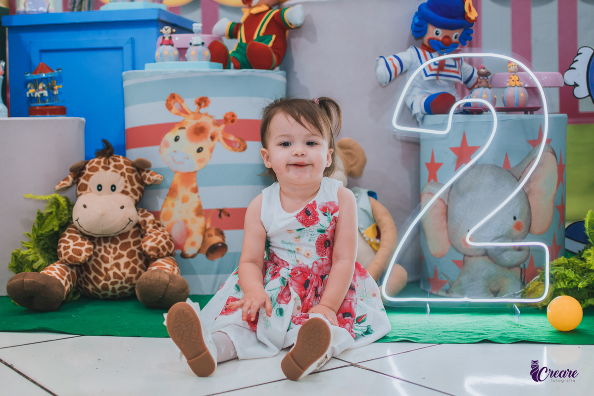 buffet é pique Mauá, fotógrafo de aniversário infantil, festa infantil, decoração circo, tema de aniversário de menina. Fotógrafo Santo André, fotógrafo em Mauá.