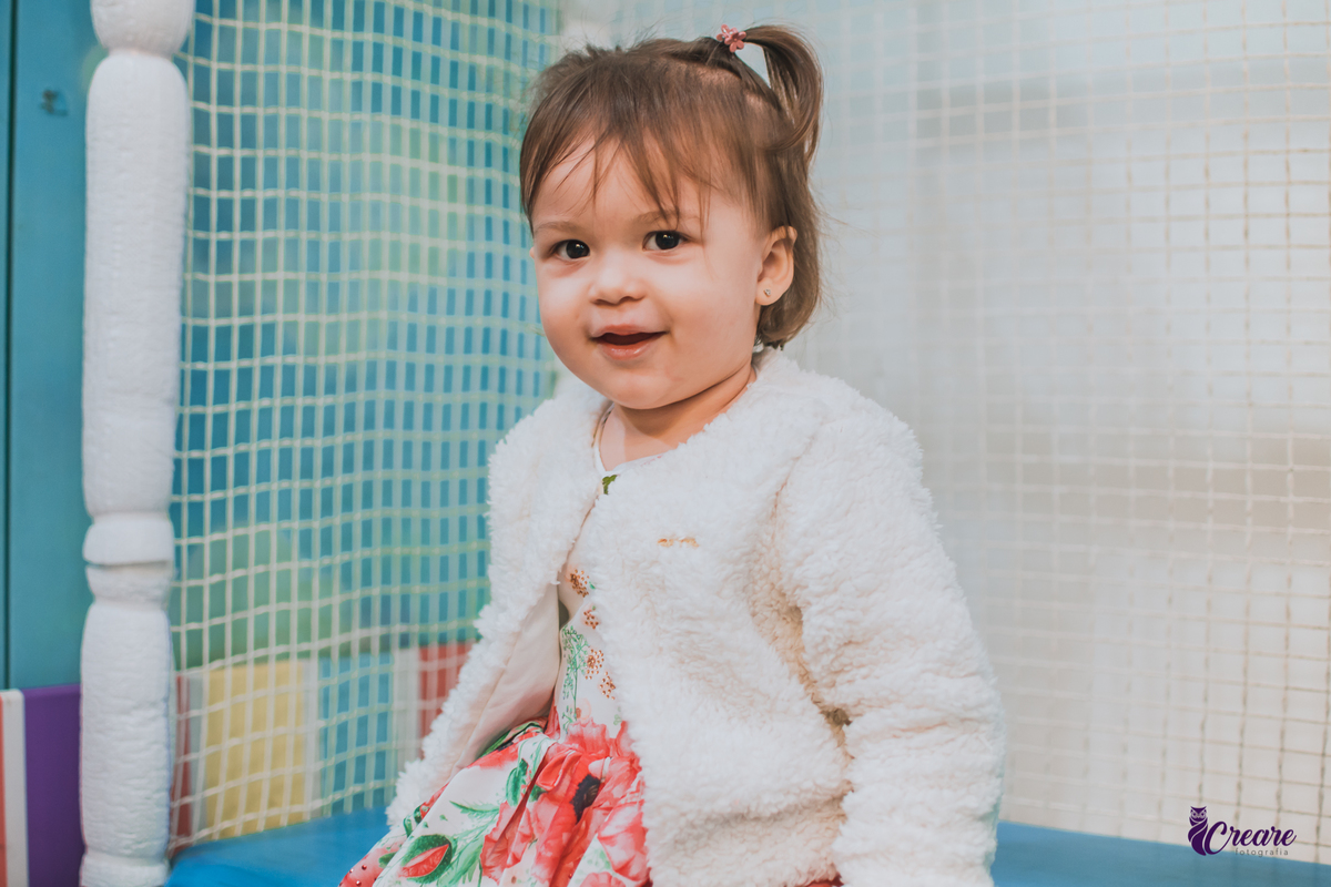 buffet é pique Mauá, fotógrafo de aniversário infantil, festa infantil, decoração circo, tema de aniversário de menina. Fotógrafo Santo André, fotógrafo em Mauá.