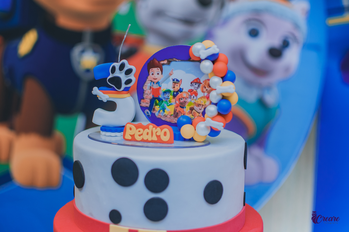 fotografia de aniversário infantil, festa de menino de 3 anos com tema Patrulha Canina. Fotógrafo São Bernardo do Campo. Festa em casa.