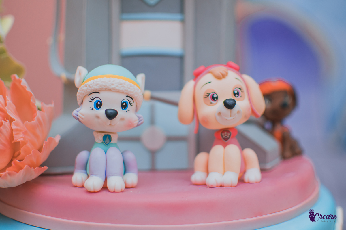 fotógrafia de aniversário infantil em casa, fotógrafo em Mauá, festa infantil de menina. Aniversário de 3 anos, decoração Patrulha canina. Festa de criança em casa.