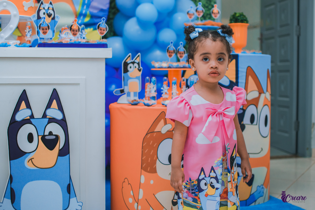fotografia de aniversário infantil em casa, festa de menina de 2 anos. fotógrafo ABC Paulista. Tema de decoração Bluey.