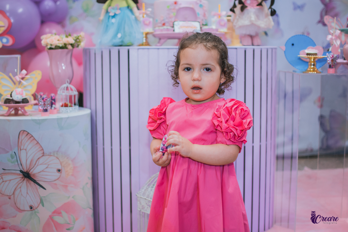 aniversário infantil de 2 anos, buffet toca Localizado em São Caetano do Sul, fotógrafo de festa infantil em São Caetano do Sul. 