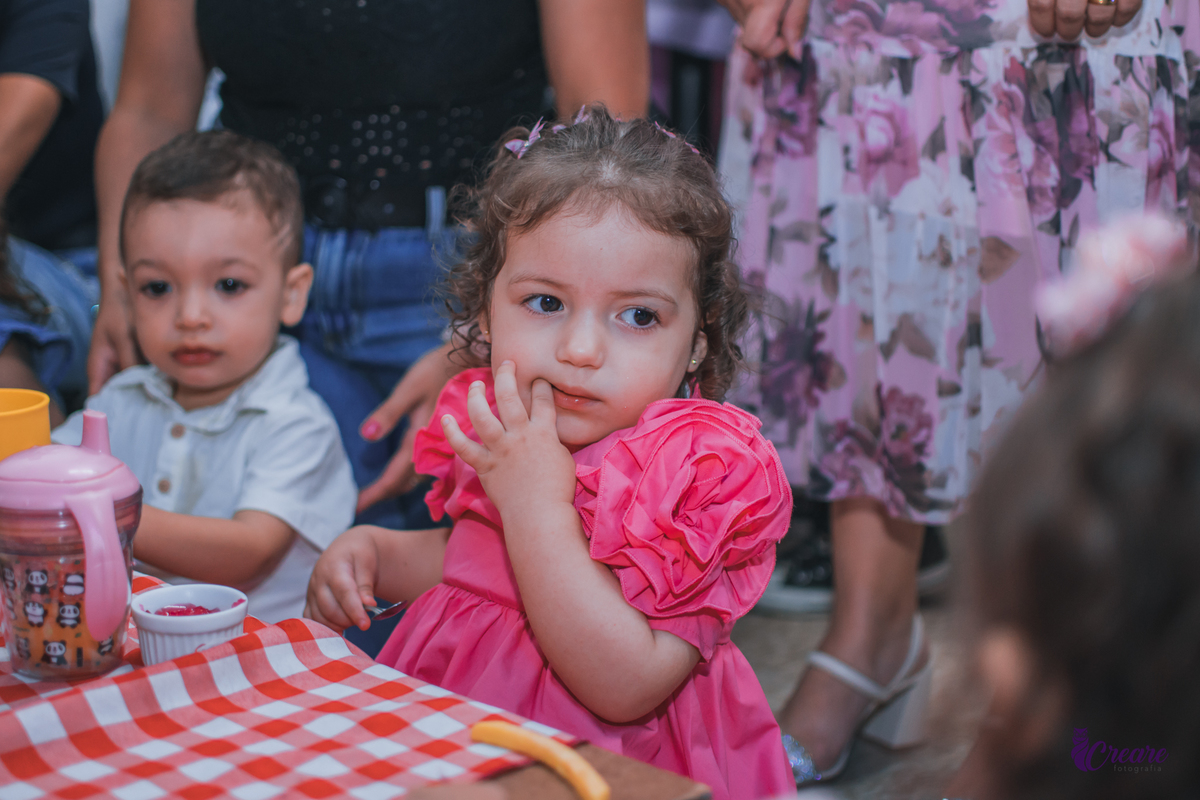 aniversário infantil de 2 anos, buffet toca Localizado em São Caetano do Sul, fotógrafo de festa infantil em São Caetano do Sul. 