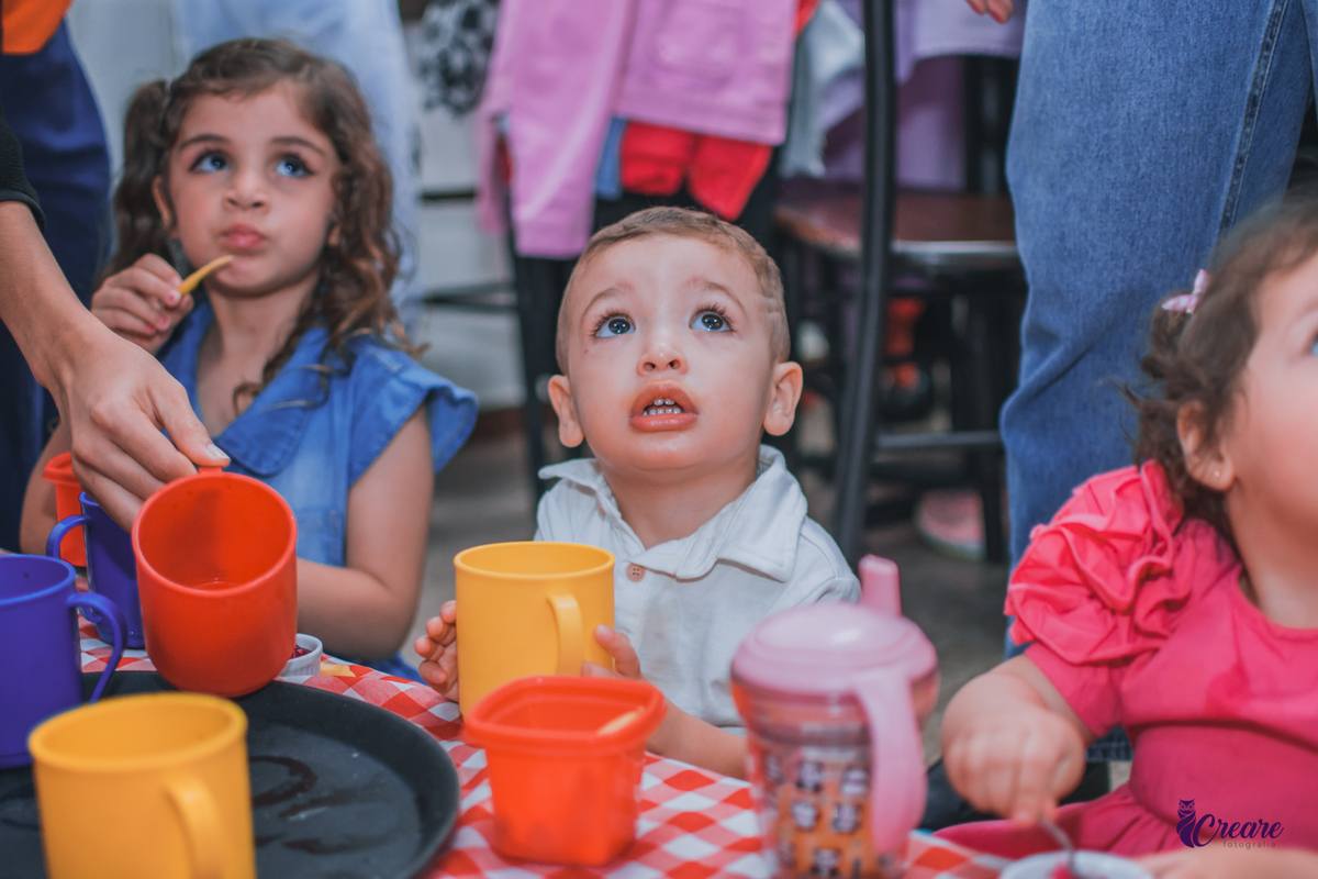 aniversário infantil de 2 anos, buffet toca Localizado em São Caetano do Sul, fotógrafo de festa infantil em São Caetano do Sul. 