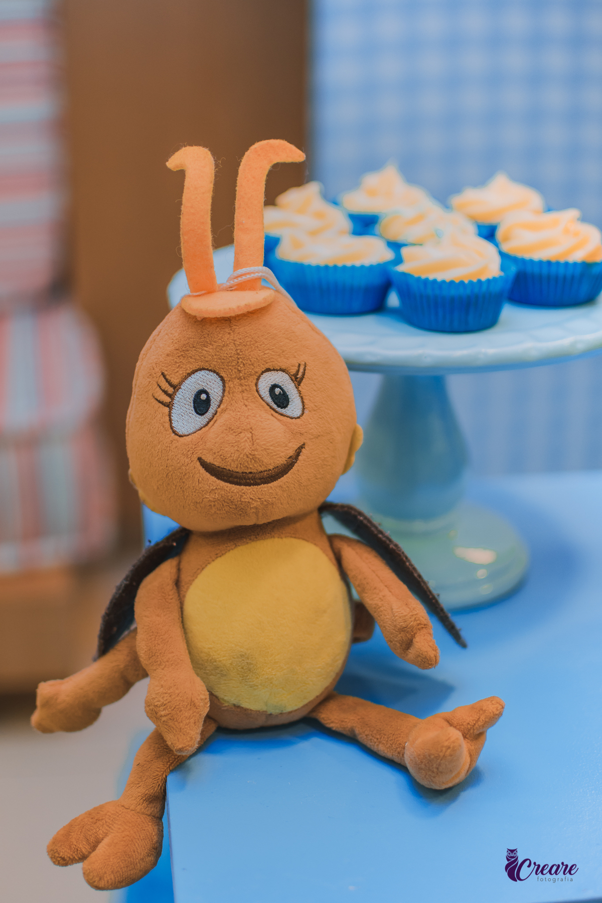 fotografia de aniversário infantil, festa de dois anos de menino. Decoração tema Galinha Pintadinha, festa em casa, fotógrafo em São Bernardo do Campo.