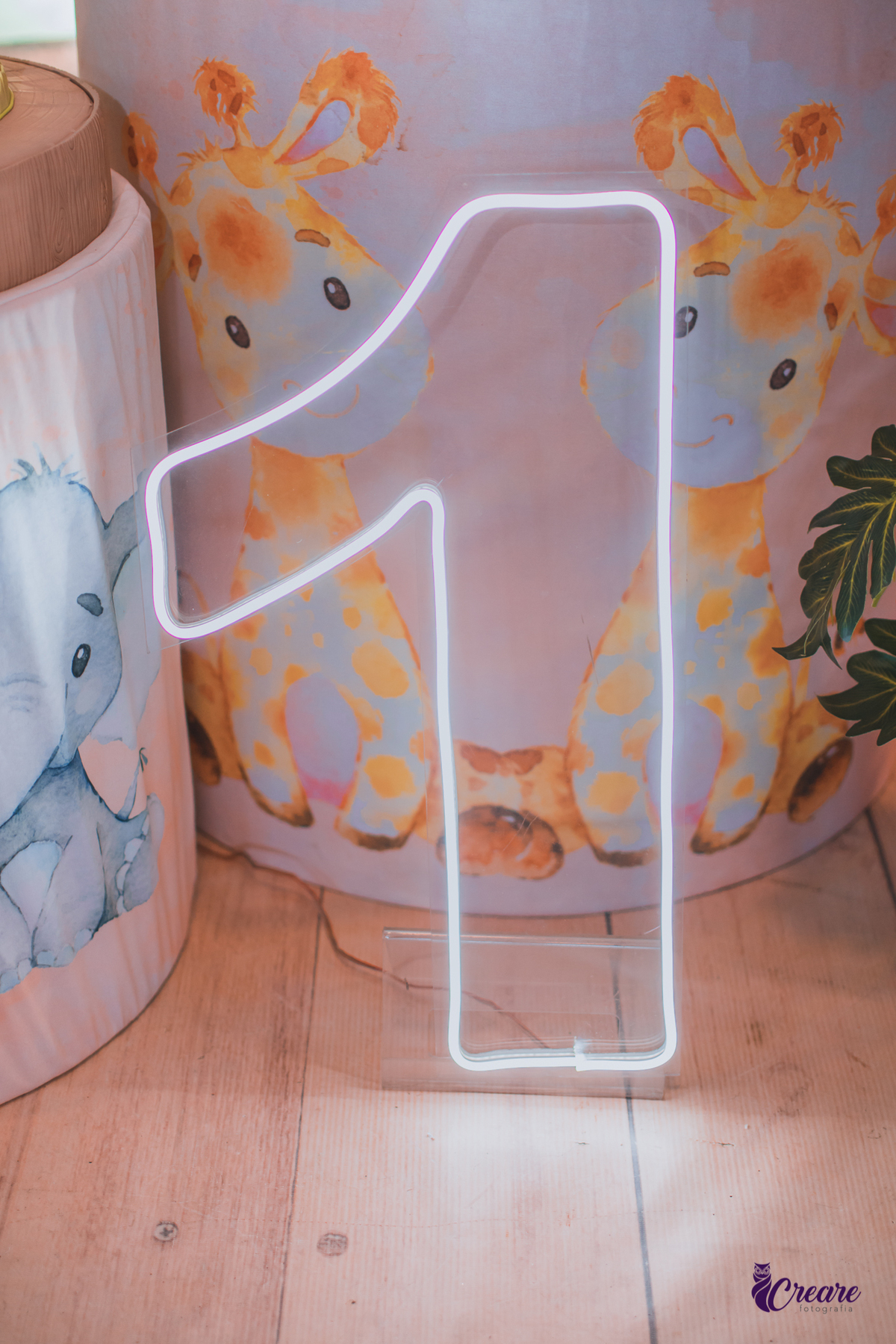 fotografia de aniversário de um ano, festa de um aninho. fotógrafo de aniversário de um ano. 