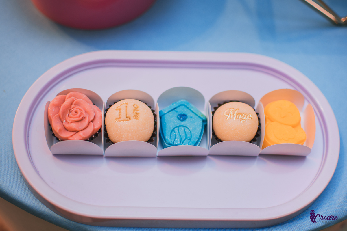 aniversário de 1 ano com tema jardim, festa em casa, aniversário de 1 aninho, 1 ano, primeiro ano do bebê, fotógrafo São Bernardo do Campo, festa de um ano em casa, fotógrafo de festa de 1 ano. 