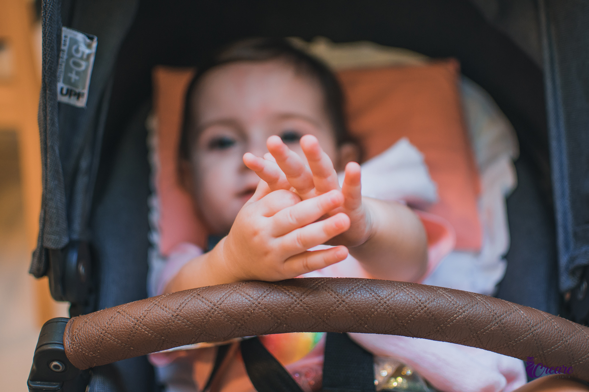 aniversário de 1 ano com tema jardim, festa em casa, aniversário de 1 aninho, 1 ano, primeiro ano do bebê, fotógrafo São Bernardo do Campo, festa de um ano em casa, fotógrafo de festa de 1 ano. 