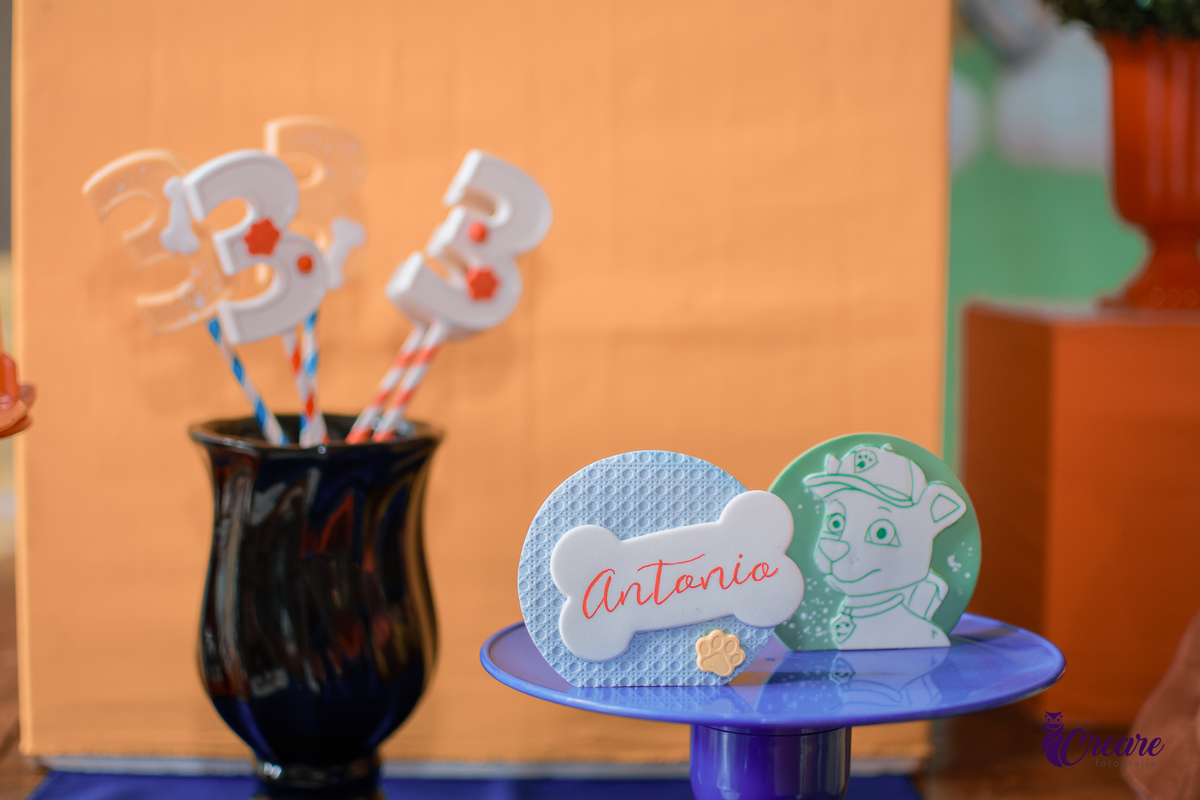 fotografia de aniversário de 3 anos de menino. Decoração tema Patrulha canina. Fotógrafo. Festa em casa.