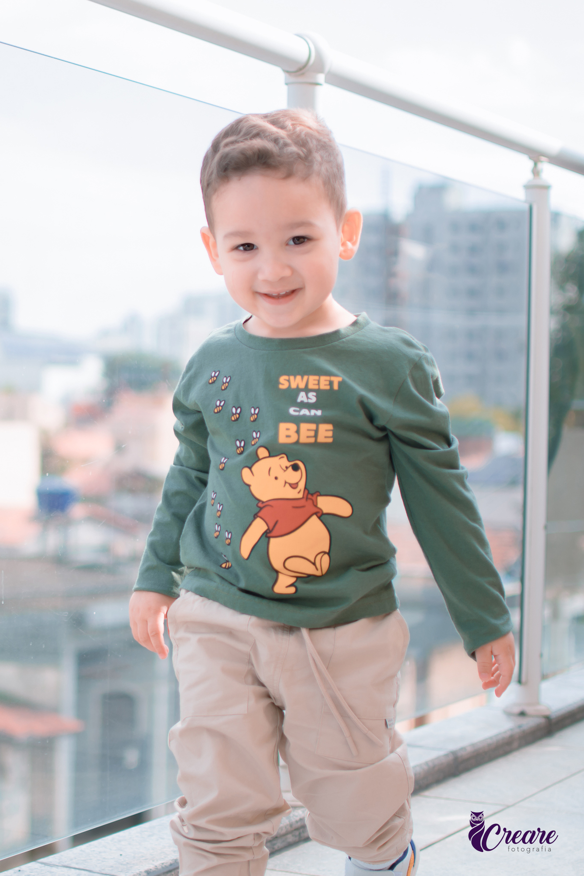 festa de aniversário de criança de 2 anos, aniversário de menino, festa em casa, fotógrafo em Santo André. Tema de aniversário de menino de 2 anos.