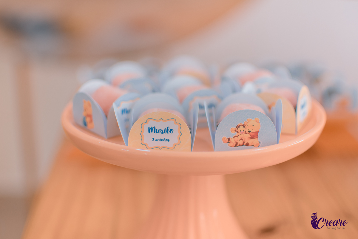 festa de aniversário de criança de 2 anos, aniversário de menino, festa em casa, fotógrafo em Santo André. Tema de aniversário de menino de 2 anos.