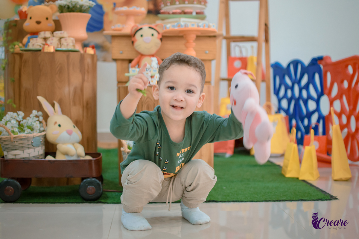 festa de aniversário de criança de 2 anos, aniversário de menino, festa em casa, fotógrafo em Santo André. Tema de aniversário de menino de 2 anos.