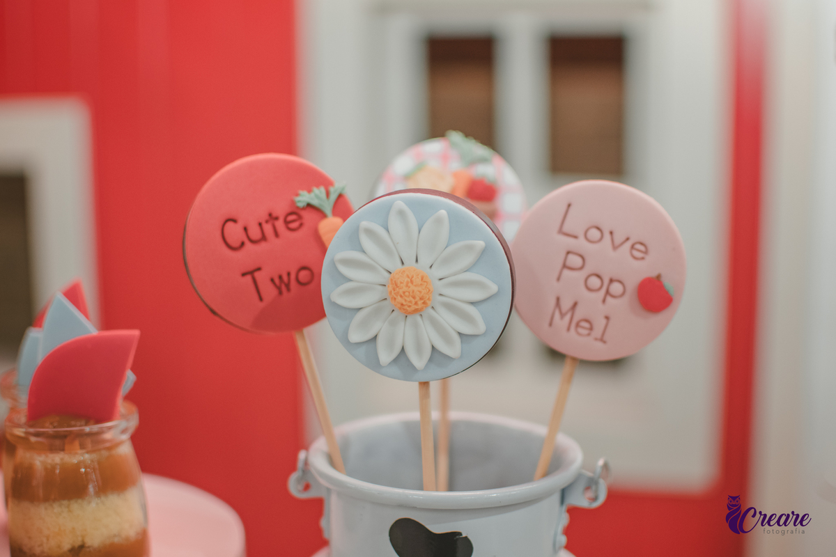 fotografia de aniversário de 2 anos de menina na Fazendinha Estação Natureza, no Ipiranga em São Paulo. Fotógrafo de aniversário infantil.  Decoração tema fazendinha.