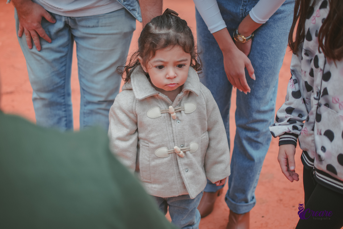 fotografia de aniversário de 2 anos de menina na Fazendinha Estação Natureza, no Ipiranga em São Paulo. Fotógrafo de aniversário infantil.  Decoração tema fazendinha.