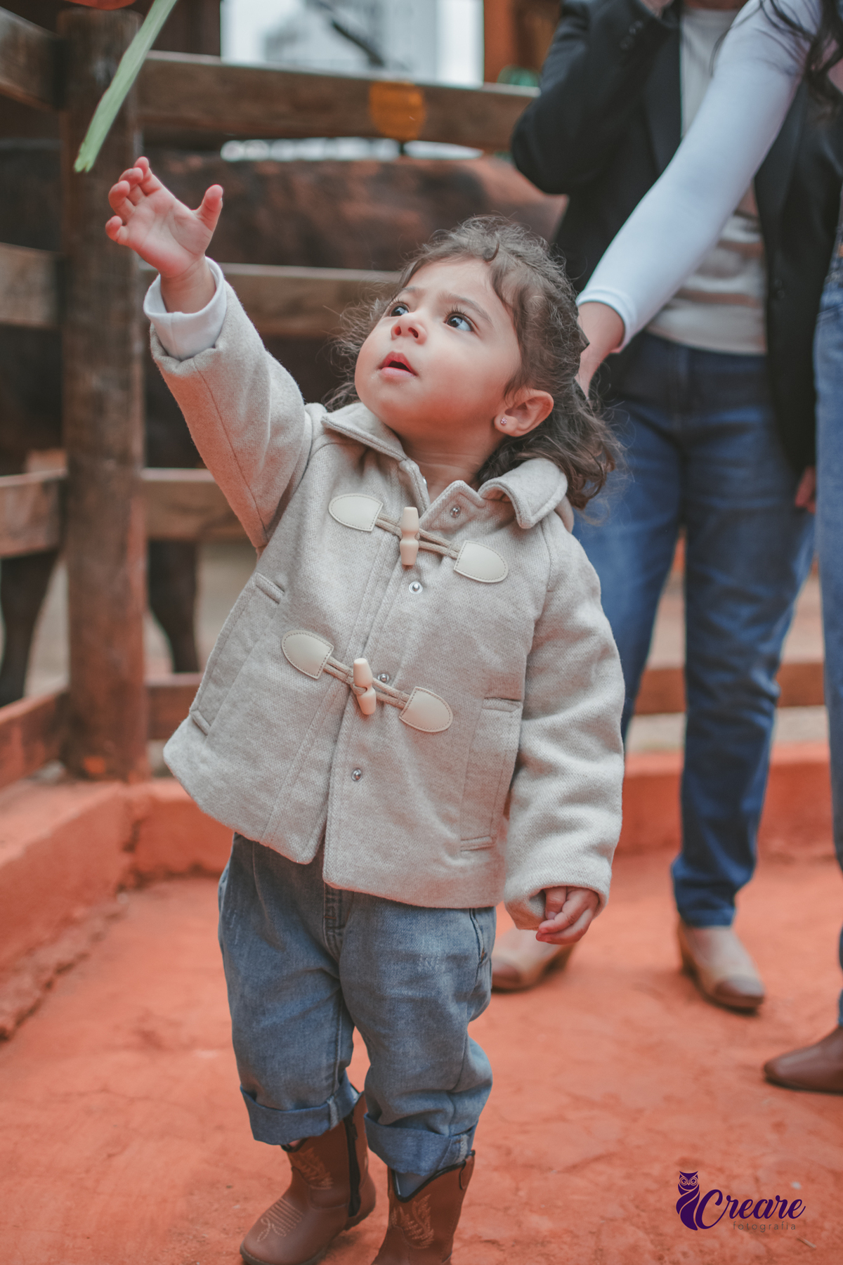 fotografia de aniversário de 2 anos de menina na Fazendinha Estação Natureza, no Ipiranga em São Paulo. Fotógrafo de aniversário infantil.  Decoração tema fazendinha.