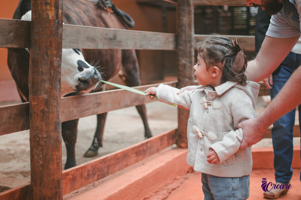 fotografia de aniversário de 2 anos de menina na Fazendinha Estação Natureza, no Ipiranga em São Paulo. Fotógrafo de aniversário infantil.  Decoração tema fazendinha.