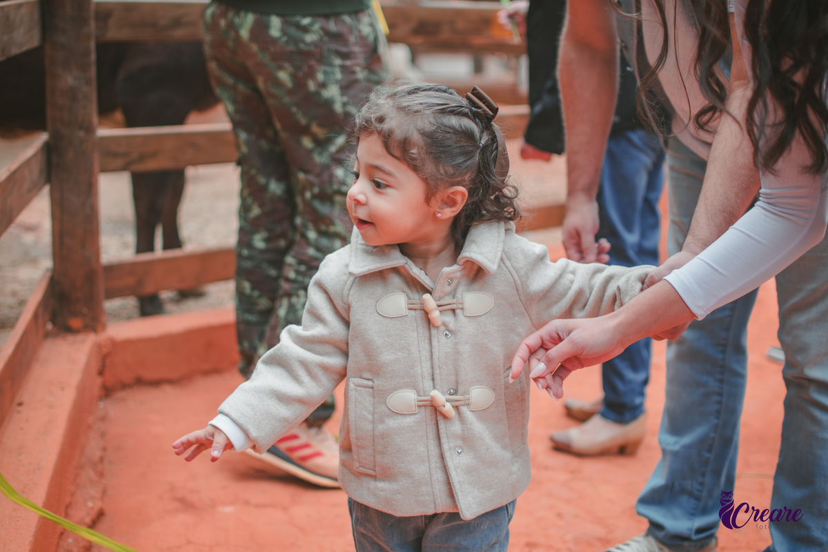 fotografia de aniversário de 2 anos de menina na Fazendinha Estação Natureza, no Ipiranga em São Paulo. Fotógrafo de aniversário infantil.  Decoração tema fazendinha.