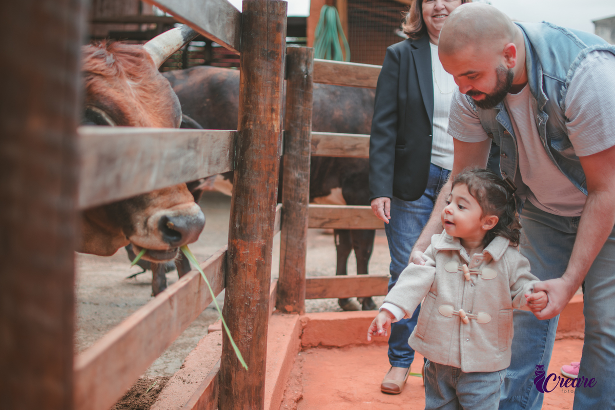fotografia de aniversário de 2 anos de menina na Fazendinha Estação Natureza, no Ipiranga em São Paulo. Fotógrafo de aniversário infantil.  Decoração tema fazendinha.