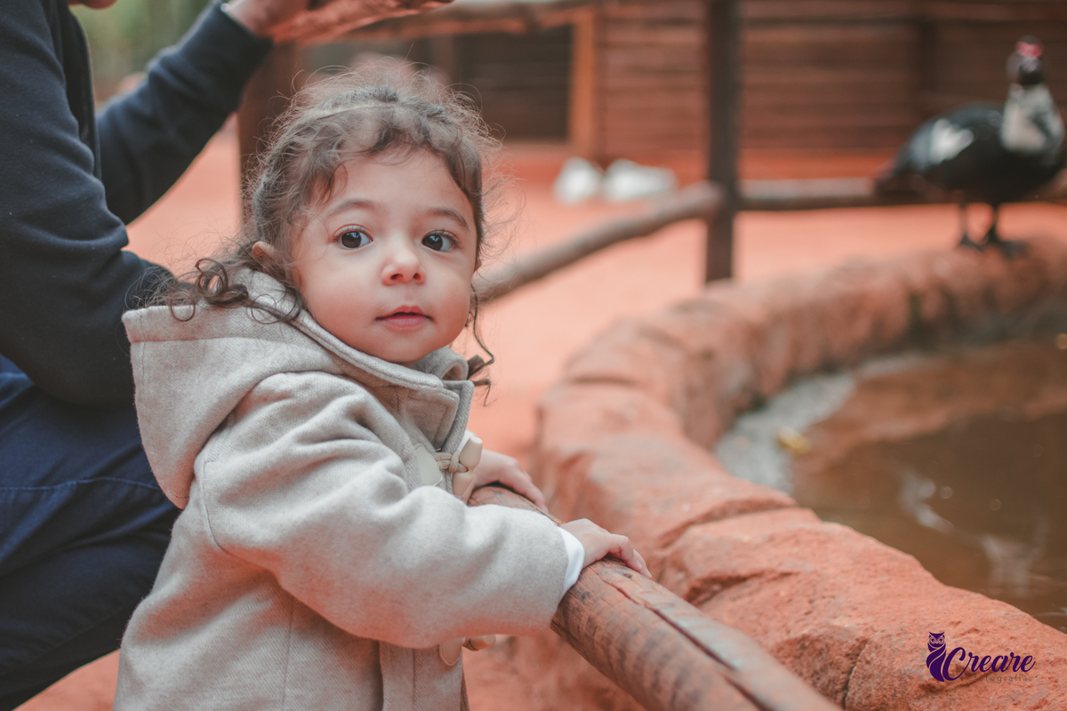 fotografia de aniversário de 2 anos de menina na Fazendinha Estação Natureza, no Ipiranga em São Paulo. Fotógrafo de aniversário infantil.  Decoração tema fazendinha.