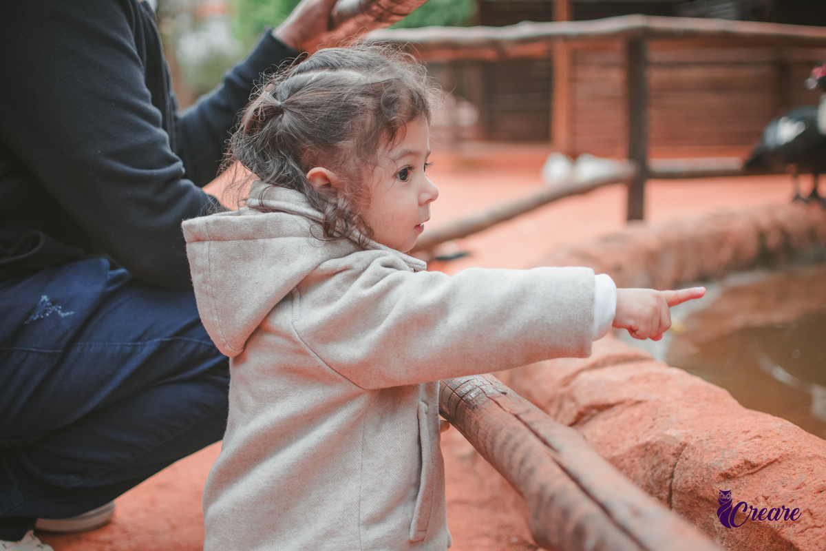 fotografia de aniversário de 2 anos de menina na Fazendinha Estação Natureza, no Ipiranga em São Paulo. Fotógrafo de aniversário infantil.  Decoração tema fazendinha.