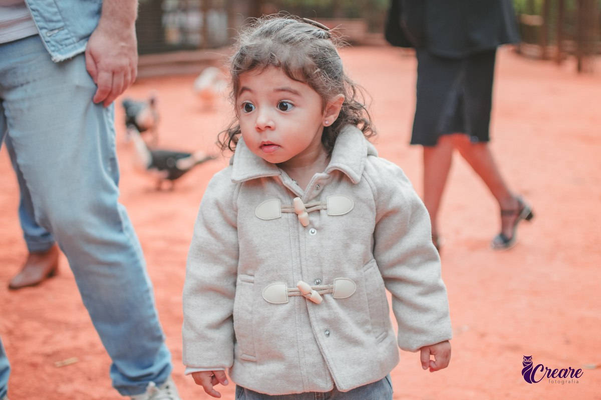 fotografia de aniversário de 2 anos de menina na Fazendinha Estação Natureza, no Ipiranga em São Paulo. Fotógrafo de aniversário infantil.  Decoração tema fazendinha.