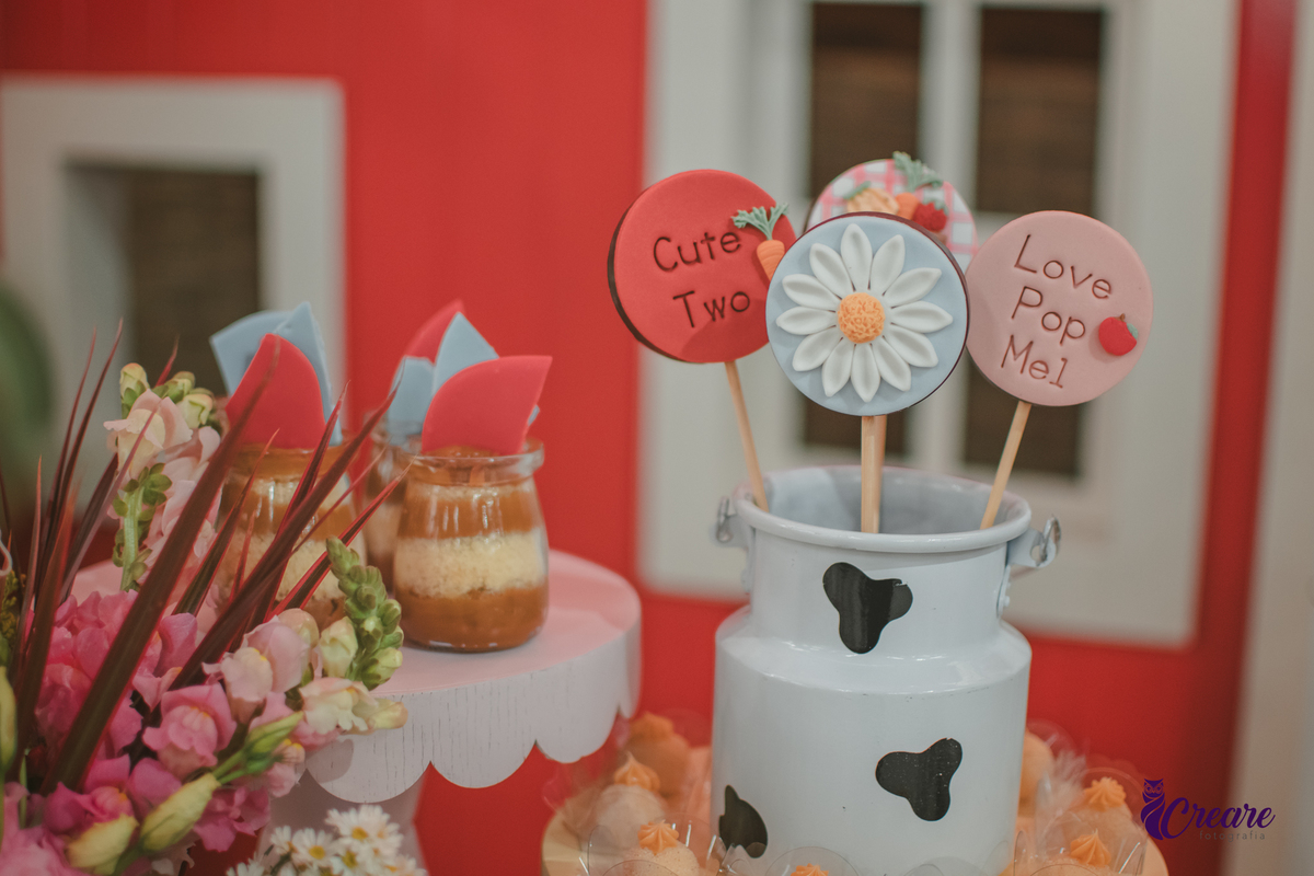 fotografia de aniversário de 2 anos de menina na Fazendinha Estação Natureza, no Ipiranga em São Paulo. Fotógrafo de aniversário infantil.  Decoração tema fazendinha.