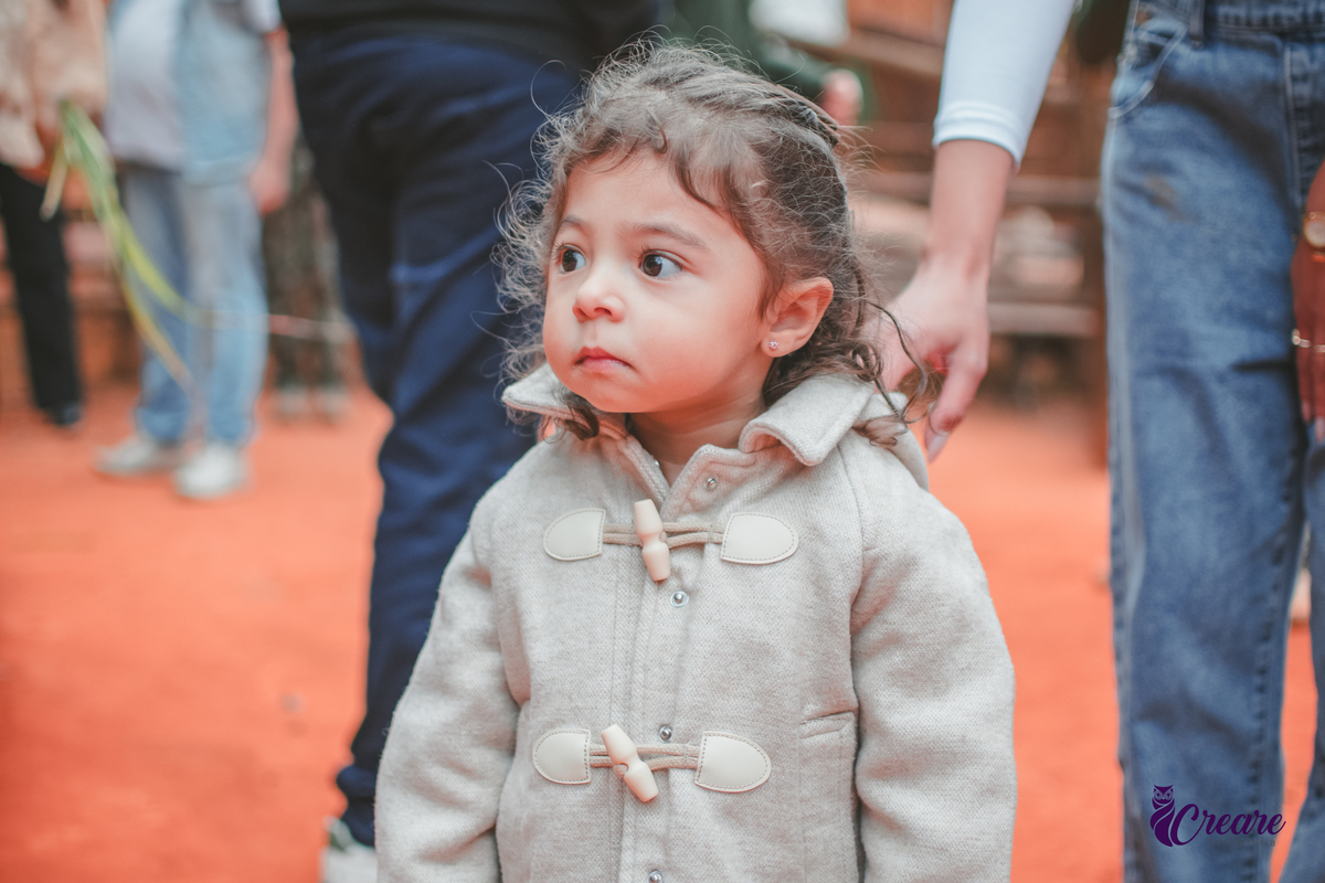 fotografia de aniversário de 2 anos de menina na Fazendinha Estação Natureza, no Ipiranga em São Paulo. Fotógrafo de aniversário infantil.  Decoração tema fazendinha.