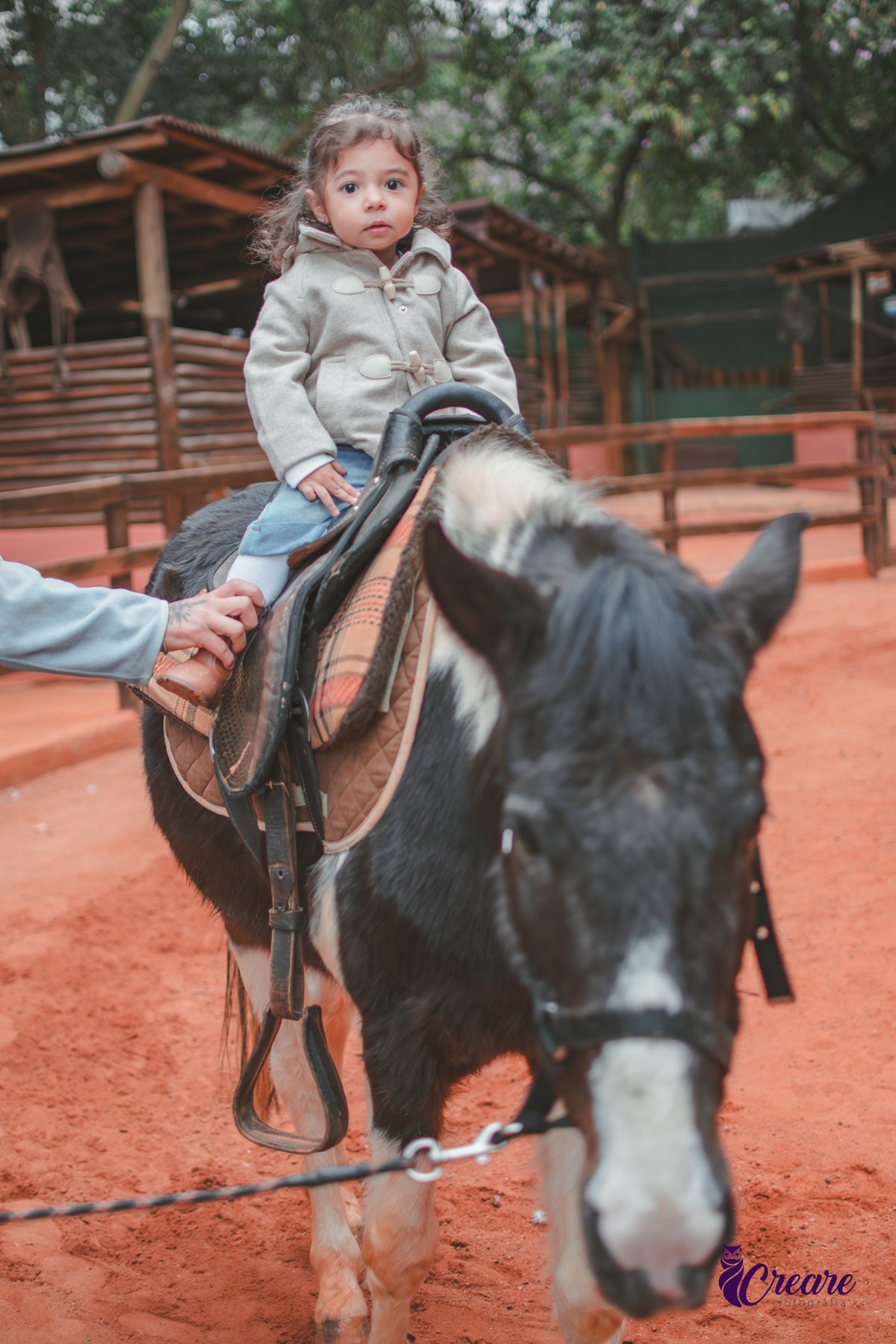 fotografia de aniversário de 2 anos de menina na Fazendinha Estação Natureza, no Ipiranga em São Paulo. Fotógrafo de aniversário infantil.  Decoração tema fazendinha.