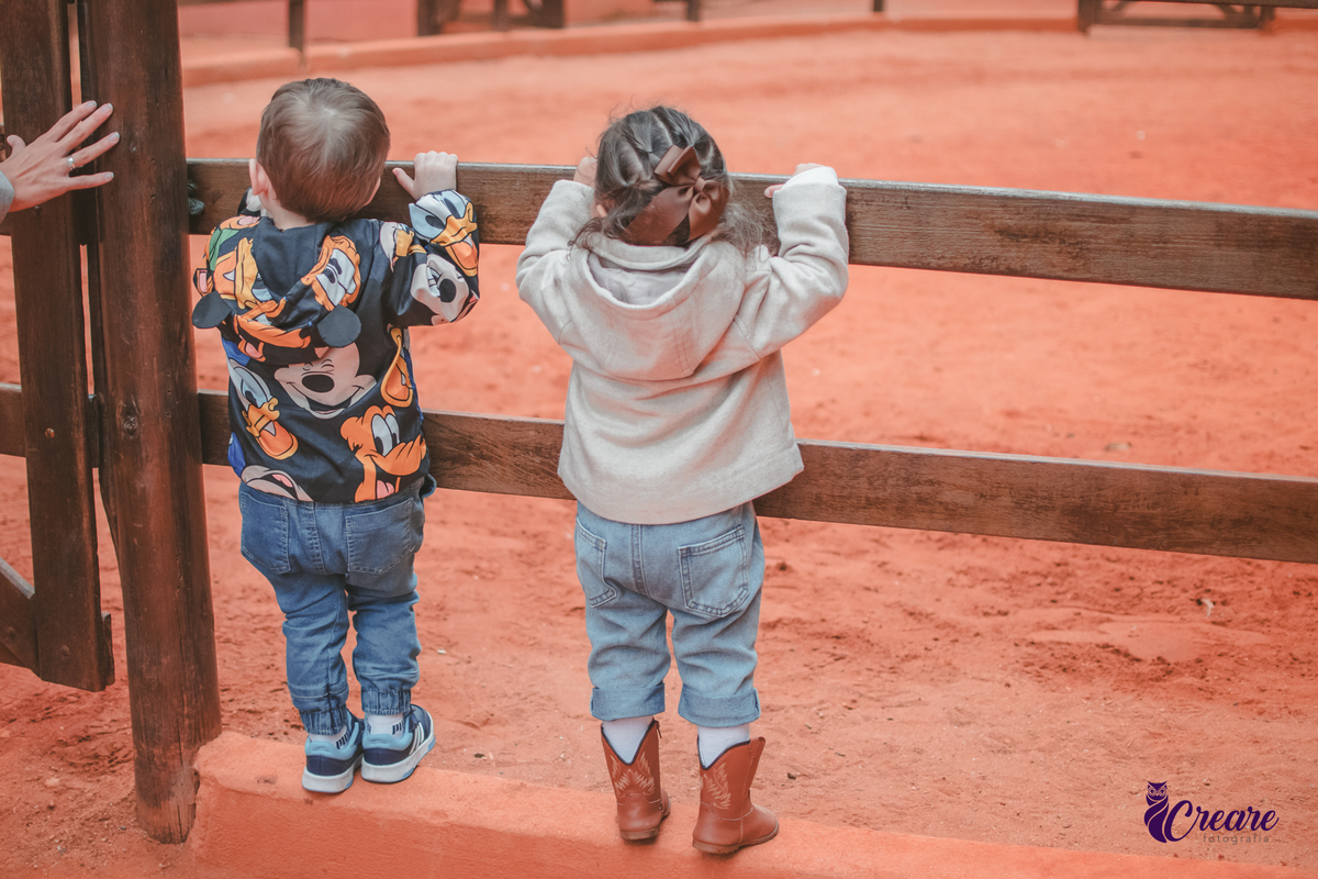 fotografia de aniversário de 2 anos de menina na Fazendinha Estação Natureza, no Ipiranga em São Paulo. Fotógrafo de aniversário infantil.  Decoração tema fazendinha.