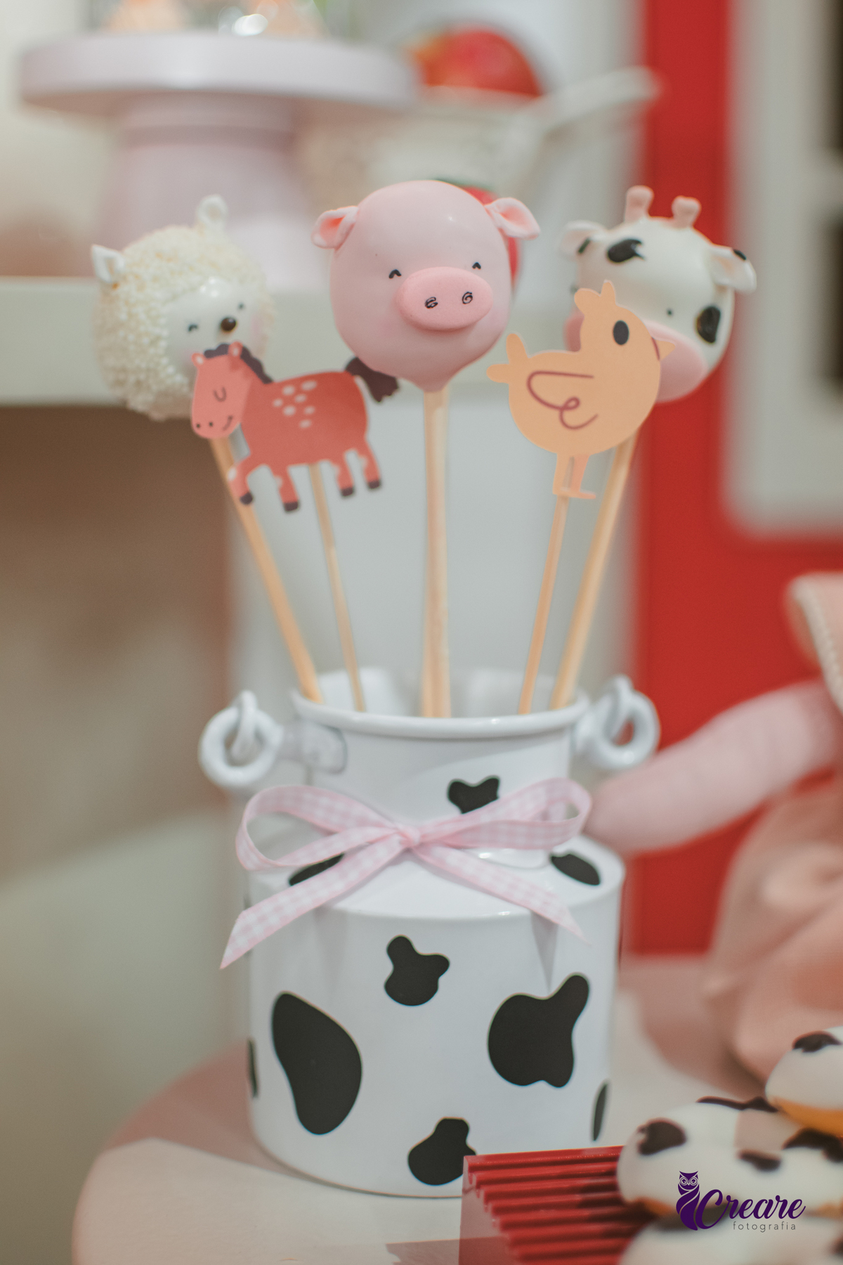 fotografia de aniversário de 2 anos de menina na Fazendinha Estação Natureza, no Ipiranga em São Paulo. Fotógrafo de aniversário infantil.  Decoração tema fazendinha.