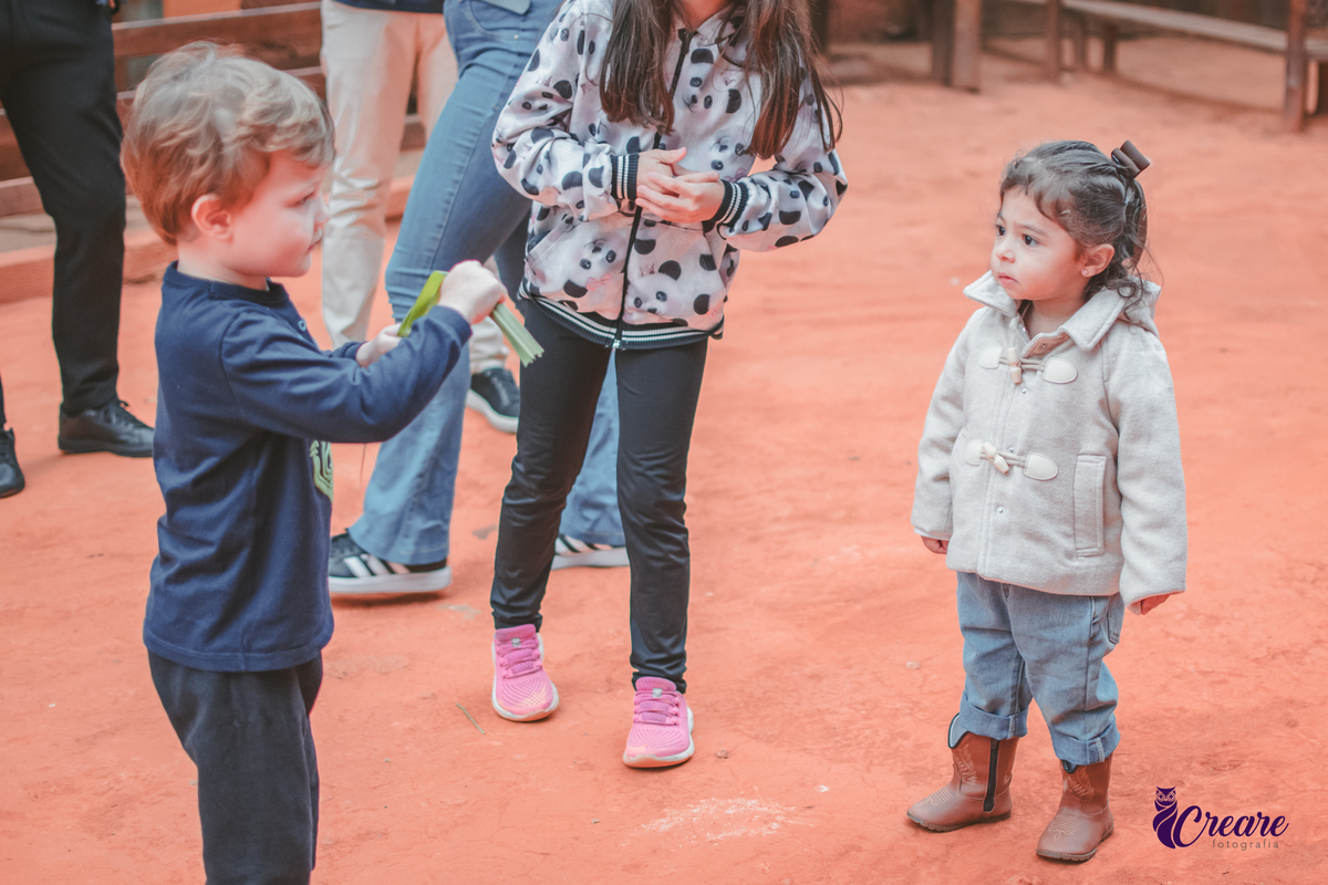 fotografia de aniversário de 2 anos de menina na Fazendinha Estação Natureza, no Ipiranga em São Paulo. Fotógrafo de aniversário infantil.  Decoração tema fazendinha.