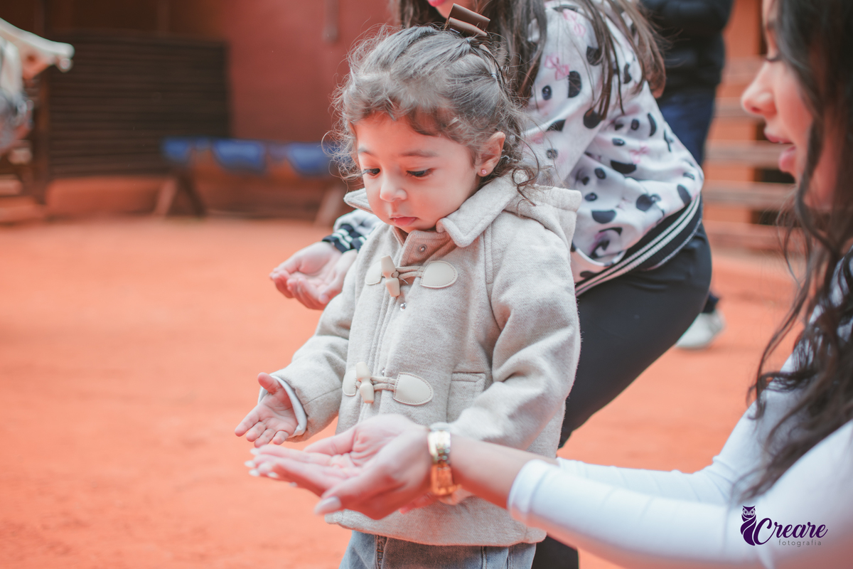 fotografia de aniversário de 2 anos de menina na Fazendinha Estação Natureza, no Ipiranga em São Paulo. Fotógrafo de aniversário infantil.  Decoração tema fazendinha.