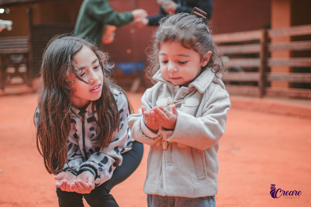 fotografia de aniversário de 2 anos de menina na Fazendinha Estação Natureza, no Ipiranga em São Paulo. Fotógrafo de aniversário infantil.  Decoração tema fazendinha.