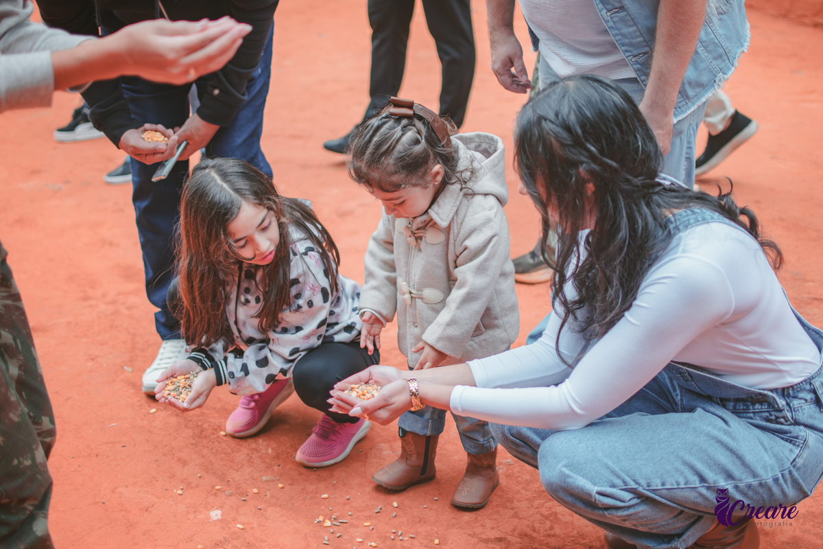 fotografia de aniversário de 2 anos de menina na Fazendinha Estação Natureza, no Ipiranga em São Paulo. Fotógrafo de aniversário infantil.  Decoração tema fazendinha.